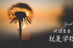 -这是一篇为您定制的文章，标题通过列支敦士登的钟表匠与中亚狼的意象对比，突出瑞士的精密与碾压感，同时将贝林厄姆的抢眼描述为一种近乎跨界的震撼