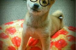 英雄联盟总决赛2025-破冰之战，孔德麾下加拿大历史性击败伊拉克，书写北美足球新篇