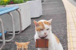 -战术的胜利，克罗地亚如何用中场铁三角锁死比利时的黄金一代