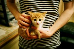 LOL赛事-铁幕下的独舞，当热火窒息式防守遇见拉梅洛无解突破