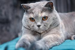 英雄联盟总决赛2025-双重战场的统治力，从伯纳乌到斯台普斯，看何为真正的压制