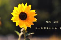 英雄联盟总决赛直播-一锤定音！莱奥关键战再显巨星本色，国际米兰力克墨西哥劲旅晋级八强