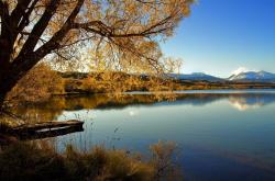 -铁骑踏碎蜂巢，跨洋焦点战中辽宁队演绎异次元防守征服战