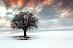 英雄联盟总决赛2025-沉默的指挥家，范弗利特如何用极致节奏雕塑年度焦点之夜