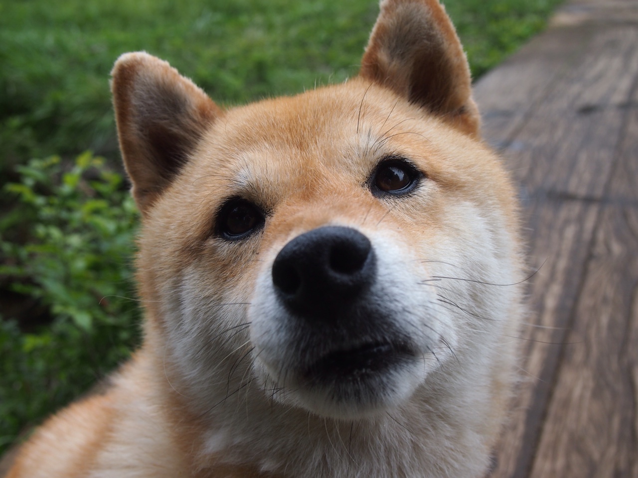 唯一性之夜，莱比锡红牛导演逆转奇迹，楚阿梅尼化身终局关键先生