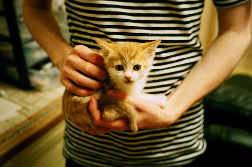 铁幕下的独舞,当热火窒息式防守遇见拉梅洛无解突破