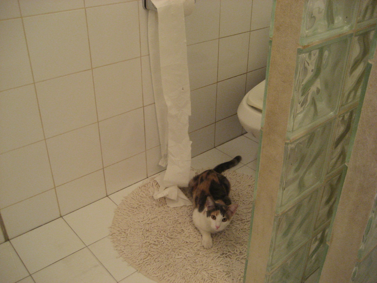 加勒比旋风席卷安菲尔德，奥亚尔萨瓦尔的魔法如何让牙买加横扫利物浦