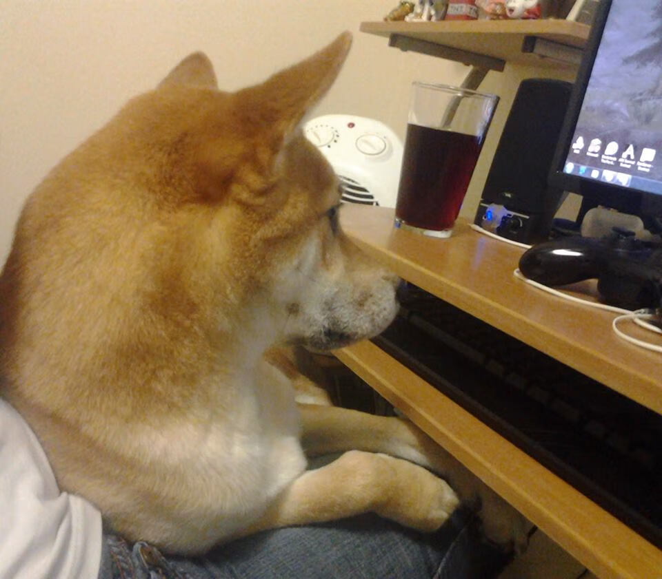 二轮秀的逆袭之夜，贝恩生涯最高分狙击字母哥里程碑