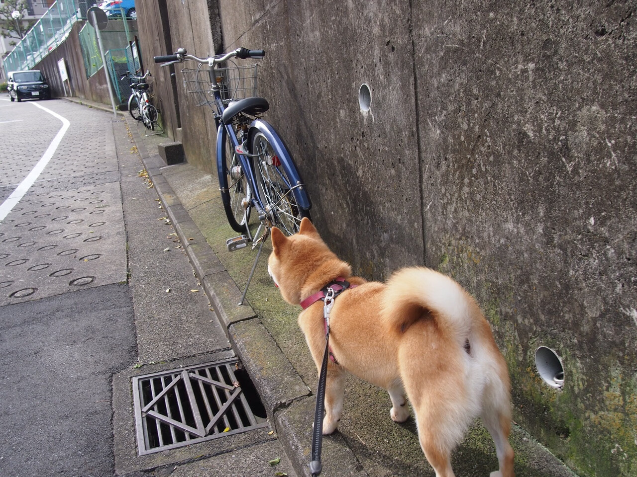 大帝压境独木难支，恩比德42分统治力压东契奇，76人团队绞杀独行侠单核