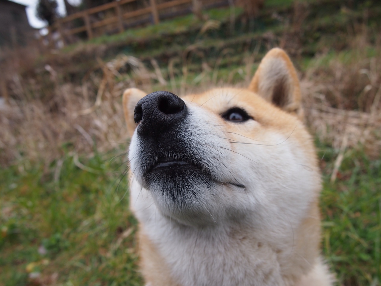逆转与传奇，那一夜，格列兹曼在皇马主场写下了什么？