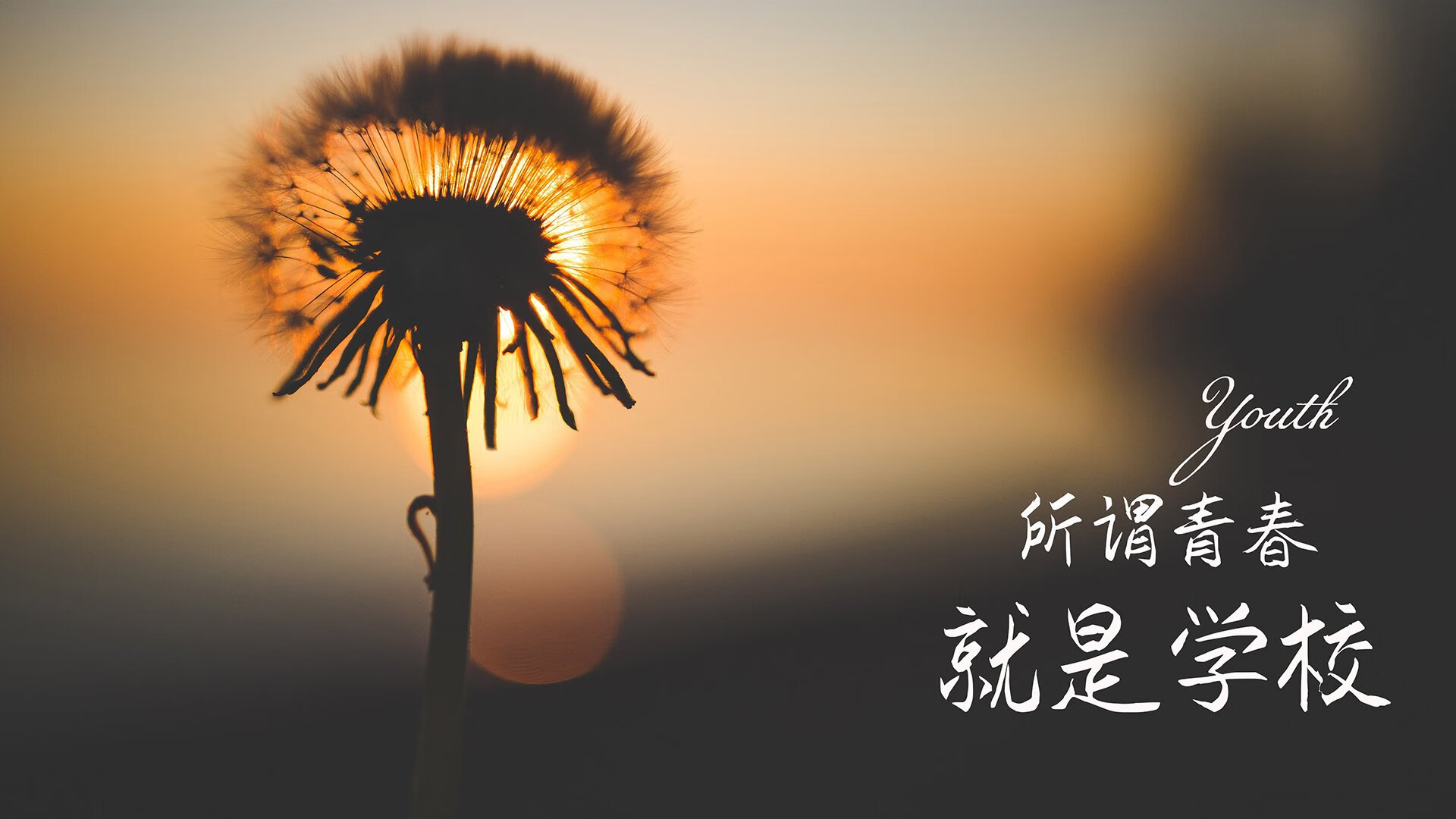 这是一篇为您定制的文章，标题通过列支敦士登的钟表匠与中亚狼的意象对比，突出瑞士的精密与碾压感，同时将贝林厄姆的抢眼描述为一种近乎跨界的震撼
