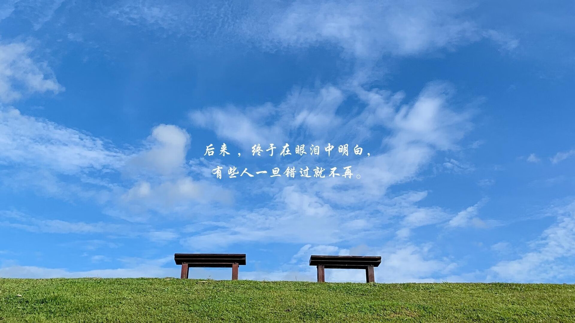 2026世界杯历史重演，波兰逆转比利时，维尼修斯带队开启翻盘之夜